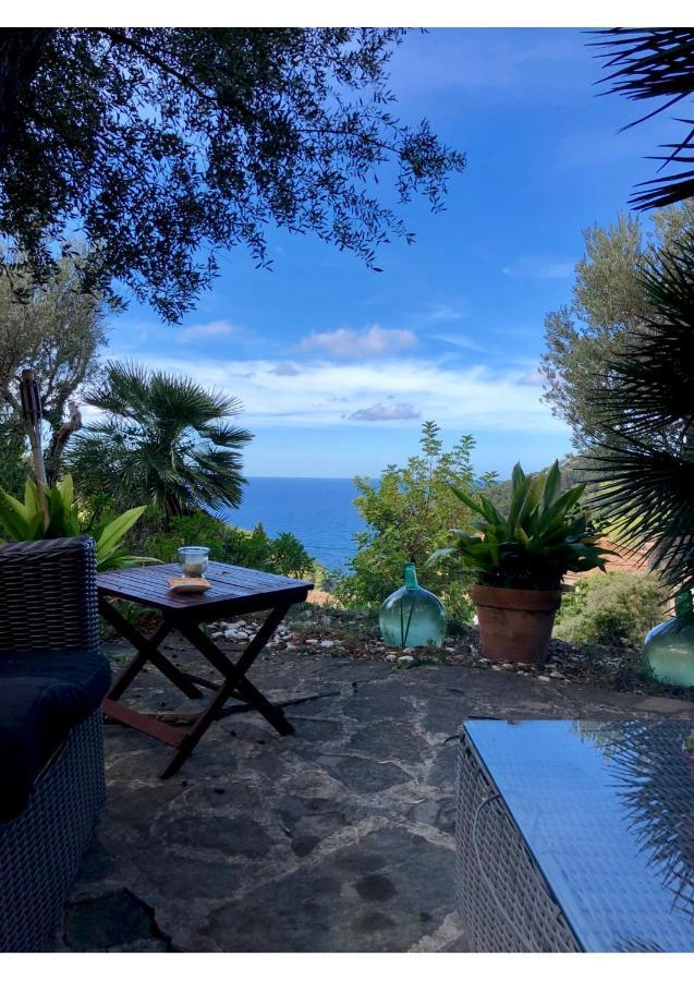 Sa Plana Petit Hotel Estellencs Kültér fotó
