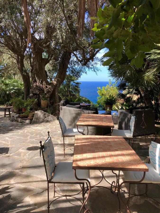 Sa Plana Petit Hotel Estellencs Kültér fotó