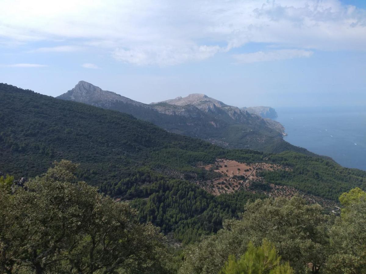 Sa Plana Petit Hotel Estellencs Kültér fotó