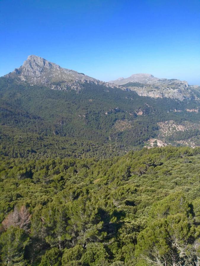 Sa Plana Petit Hotel Estellencs Kültér fotó