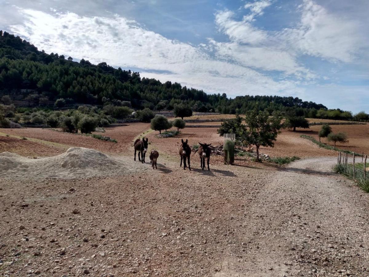 Sa Plana Petit Hotel Estellencs Kültér fotó